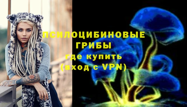кокс Баксан