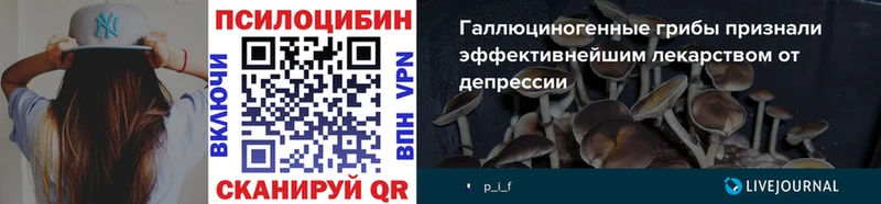 mega ссылки  Змеиногорск  Псилоцибиновые грибы мухоморы 